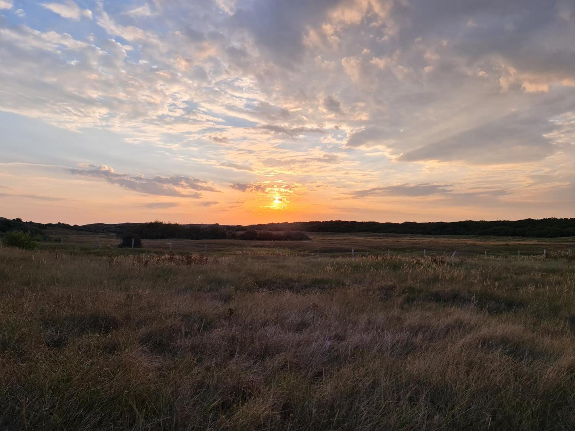 Olmenduin Chalet Olm Zeeland سيروسكيرك المظهر الخارجي الصورة